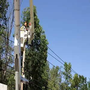 Mission Peak Tree Service - Fremont, CA, USA