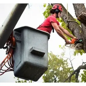 LUMBERTOWN TREE SERVICE - Muskegon Heights, MI, USA