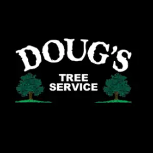 Doug\'s Tree - Columbia, PA, USA