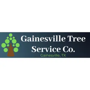 Tree Service Gainesville - Gainesville, TX, USA
