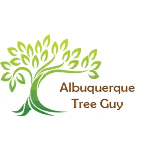 Albuquerque Tree Guy - Alburquerque, NM, USA
