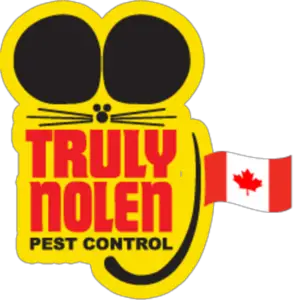 Truly Nolen Pest Control - Mississauga, ON, Canada