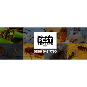 The Bed Bug Experts - Portsmouth, East Ayrshire, United Kingdom