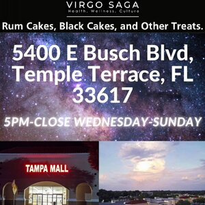 Virgo Saga LLC - Temple Terrace, FL, USA