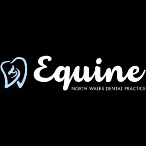 North Wales Equine Dental Practice - Ffrith, Wrexham, United Kingdom
