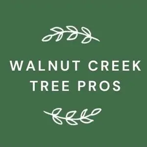 Walnut Creek Tree Pros - Walnut Creek, CA, USA