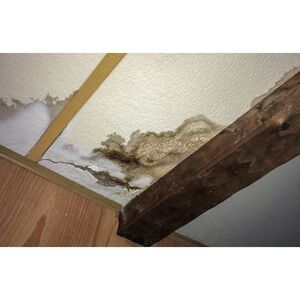 Water Damage Solutions of Agoura Hills - Agoura Hills, CA, USA