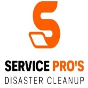 Services Pros of Sandy Springs - Sandy Springs, GA, USA
