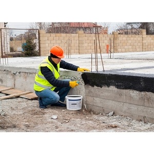 Founding Father Waterproofing Solutions - Hamilton, NY, USA