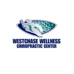 Westchase Wellness Chiropractic Center - Houston, TX, USA