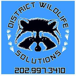 District Wildlife Solutions - Washington, DC, USA