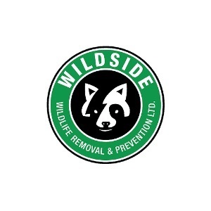 Wildside Wildlife Removal & Prevention Ltd. - Burlington, ON, Canada