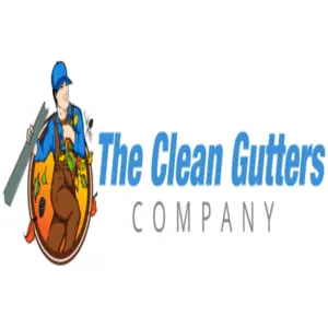 The Clean Gutters Company - Auckland City, Auckland, New Zealand