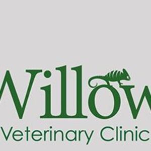 Willow Veterinary Clinic - Stoke-on-Trent, Staffordshire, United Kingdom