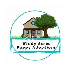 Windy Acres Puppy Adoptions - Atwood, IL, USA