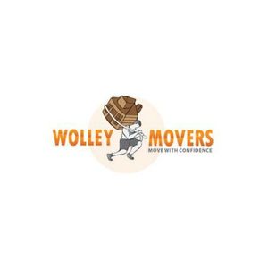 Wolley Movers Chicago - Chicago, IL, USA