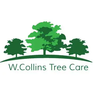 Worcester Tree Surgery - Worcester, Worcestershire, United Kingdom