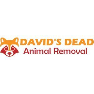 David\'s Dead Pet Removal Hobart - Hobart, TAS, Australia