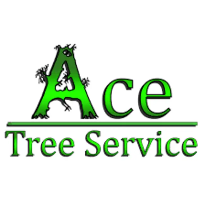 ACE Tree Service, Birmingham, AL, USA