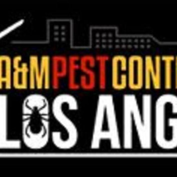 A&M Pest Control Los Angeles, Los Angeles, CA, USA