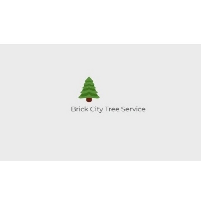Brick City Tree Service, Newark, DE, USA