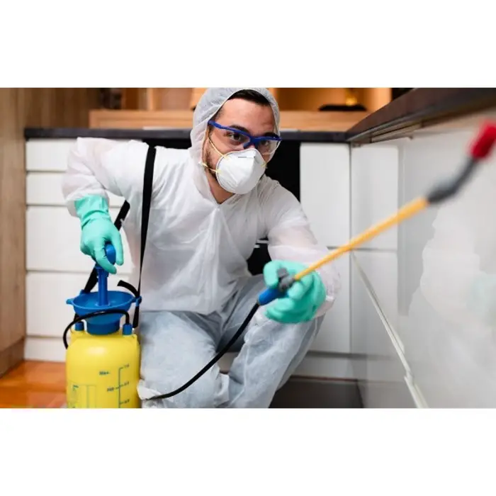 The Green Termite Removal Experts, New Castle, DE, USA