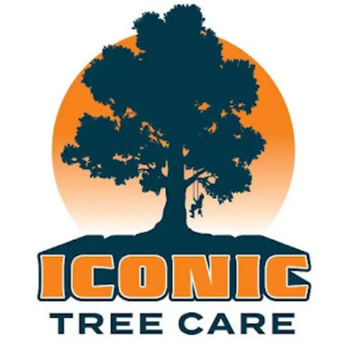 Iconic Tree Care, Morristown, VT, USA