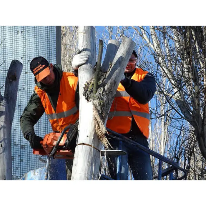 St. Charles Tree Service, Saint Louis, MO, USA