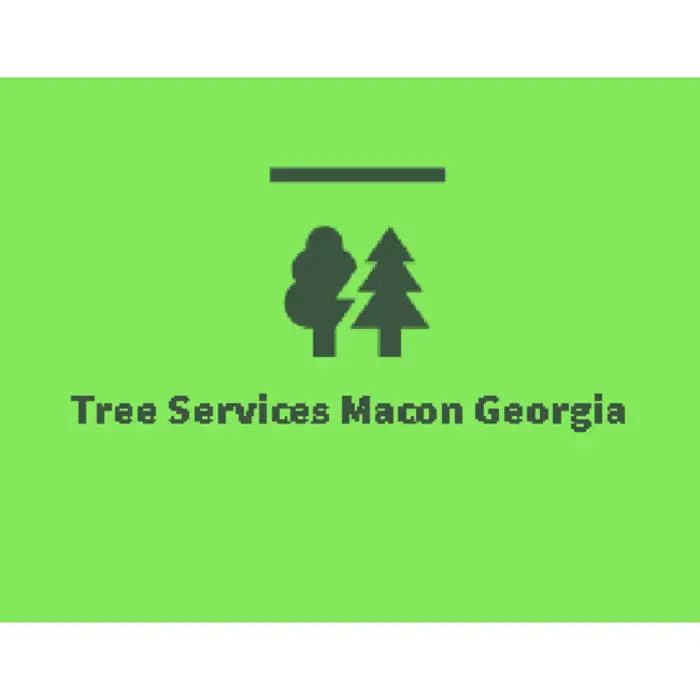 Tree Services Macon Georgia, Macon, GA, USA