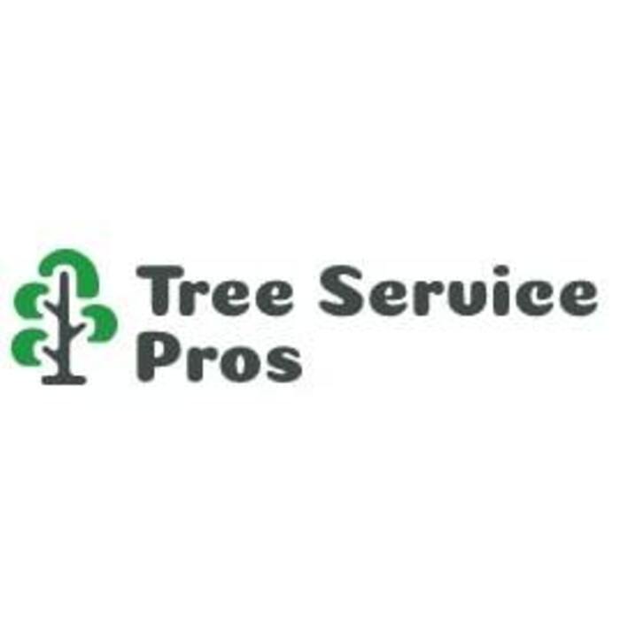 Tree Services Pro of Anaheim, Anaheim, CA, USA