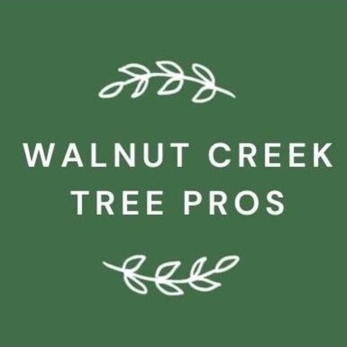 Walnut Creek Tree Pros, Walnut Creek, CA, USA
